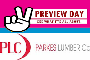 preview day 288 PARKES.png